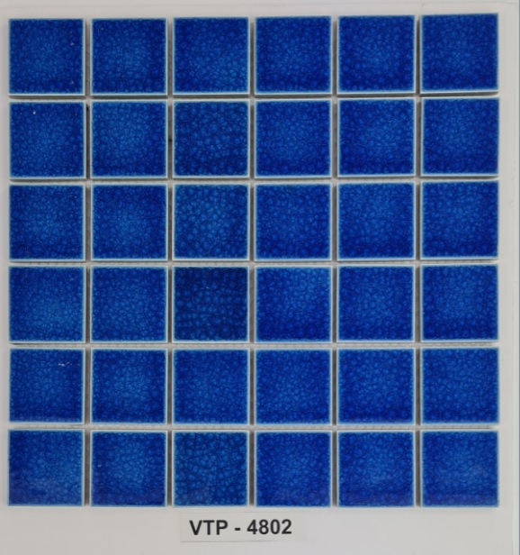 Gạch gốm VTP - 4802