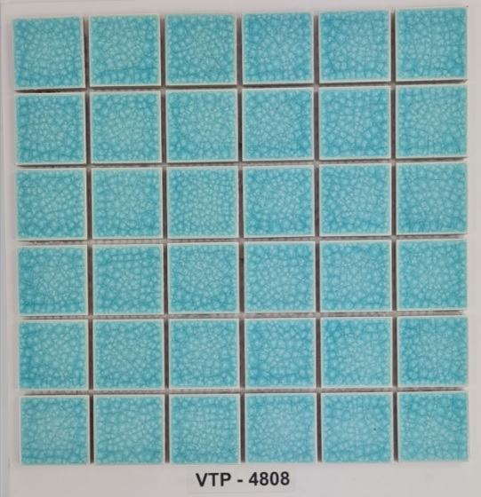 Gạch gốm VTP - 4808
