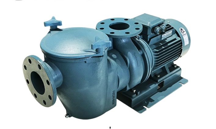 Máy bơm Emaux SE10 10HP